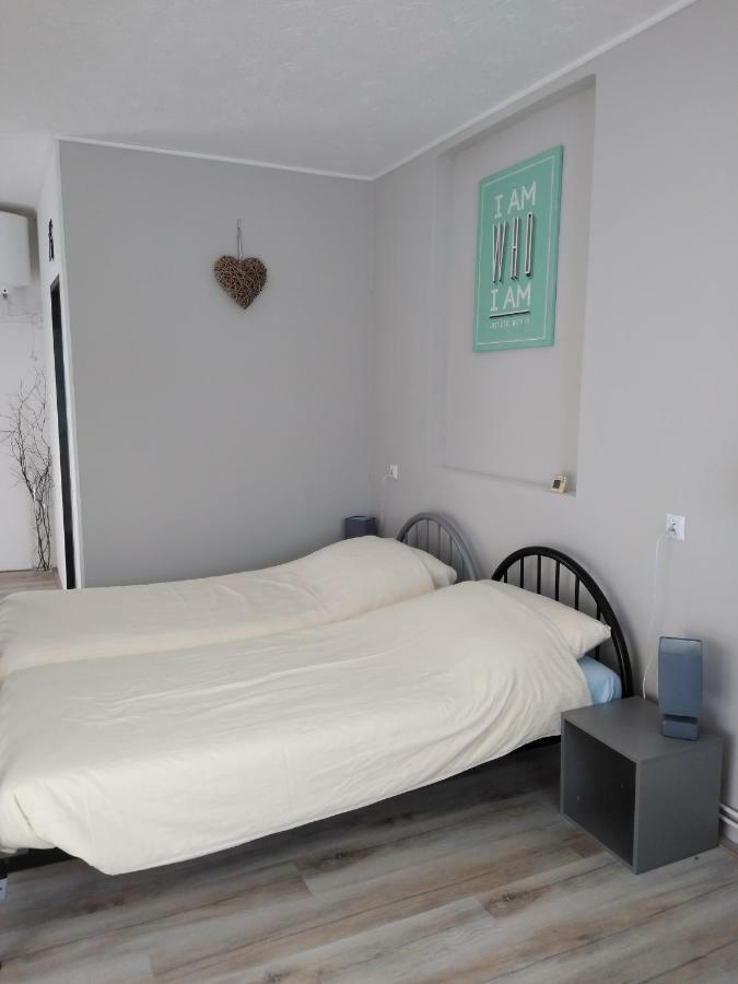Albrechtice  Pension Novy Den מראה חיצוני תמונה